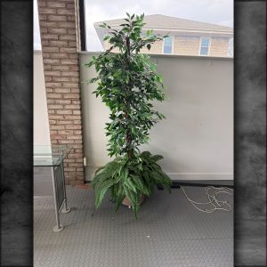 master 2 0001 item 043 1